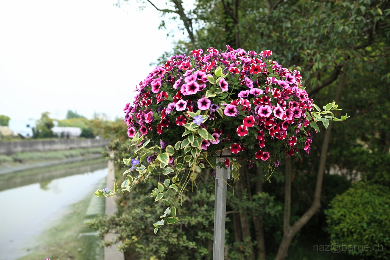 EOS 5D Mark II16_04_20134957.JPG